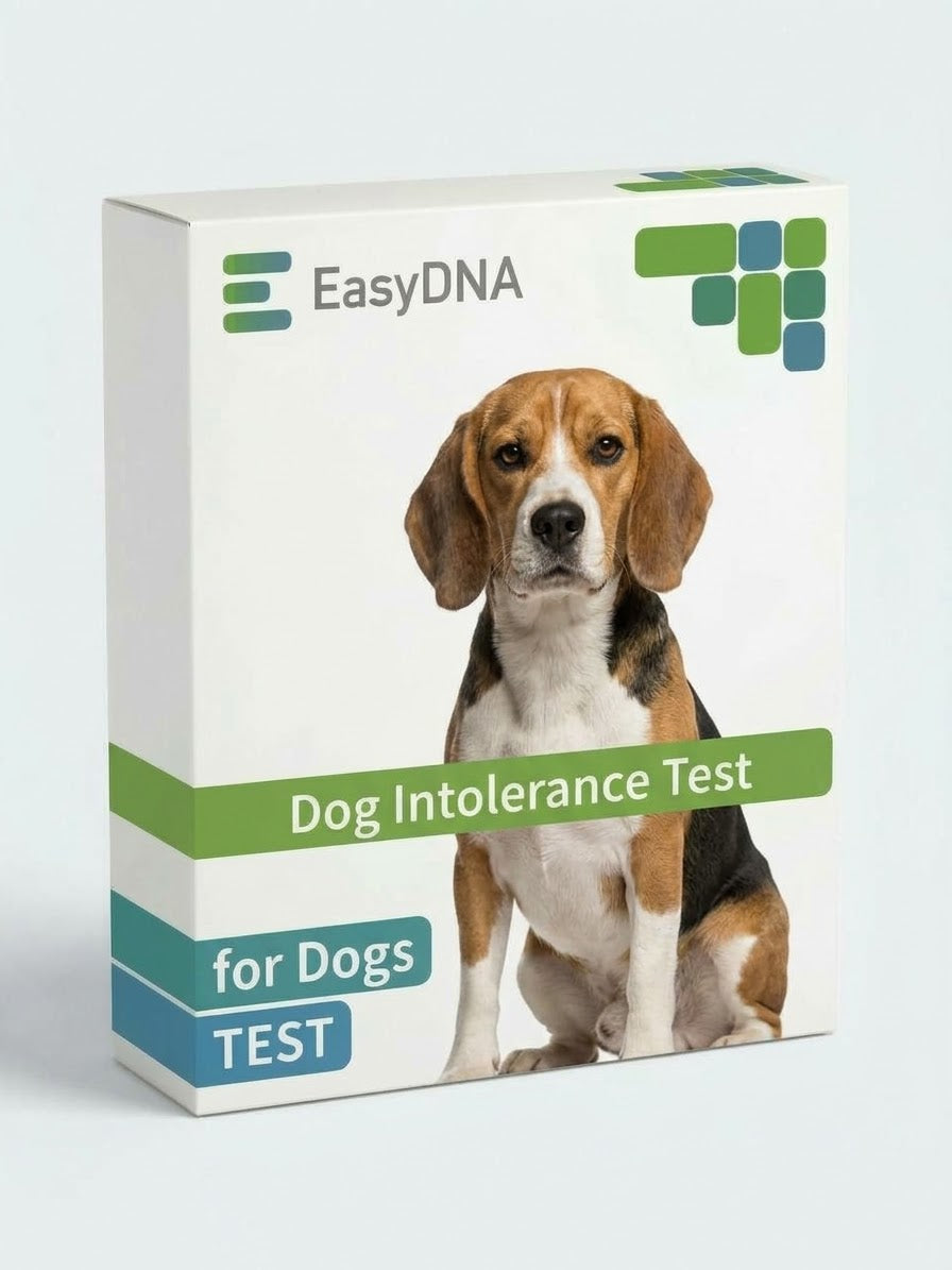 Dog Intolerance Test