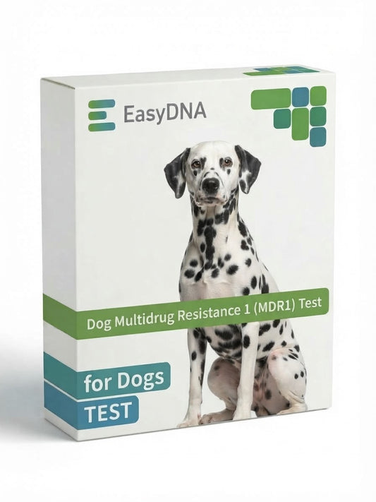 Dog Multidrug Resistance 1 (MDR1) Test