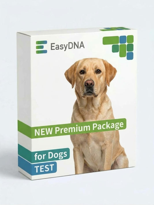 NEW Premium Package